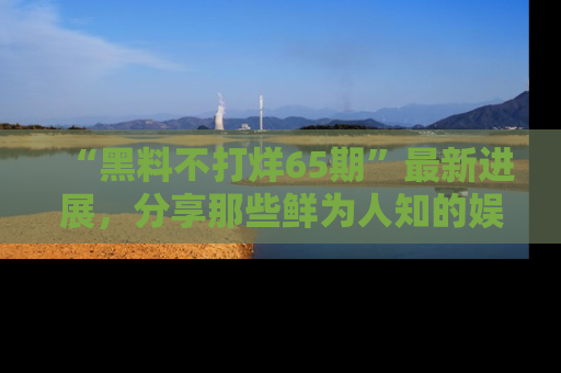 “黑料不打烊65期”最新进展,分享那些鲜为人知的娱乐八卦