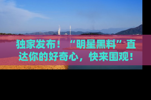 独家发布！“明星黑料”直达你的好奇心，快来围观！
