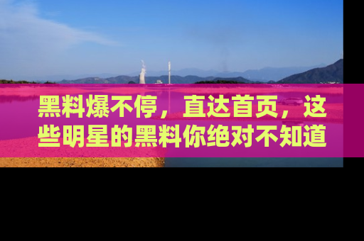 黑料爆不停，直达首页，这些明星的黑料你绝对不知道！