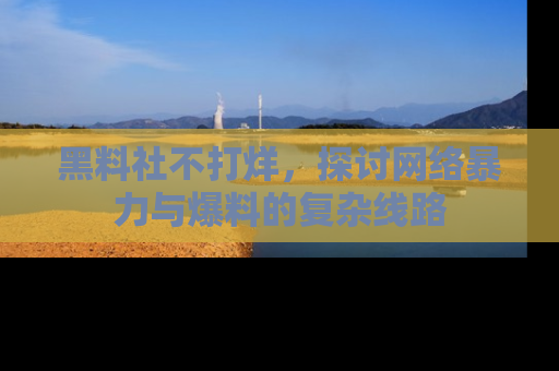 黑料社不打烊，探讨网络暴力与爆料的复杂线路