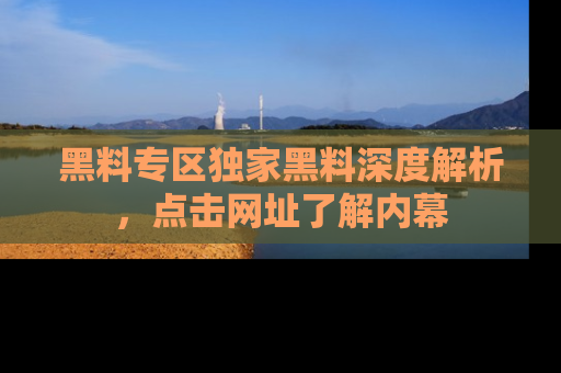 黑料专区独家黑料深度解析，点击网址了解内幕