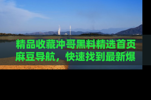 精品收藏冲哥黑料精选首页麻豆导航，快速找到最新爆料