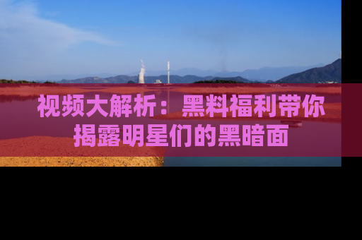 视频大解析：黑料福利带你揭露明星们的黑暗面
