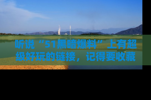听说“51黑暗爆料”上有超级好玩的链接，记得要收藏哦！