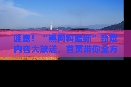 哇塞！“黑网料最新”劲爆内容大放送，首页带你全方位了解哦，小可爱们
