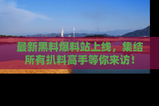 最新黑料爆料站上线,集结所有扒料高手等你来访!