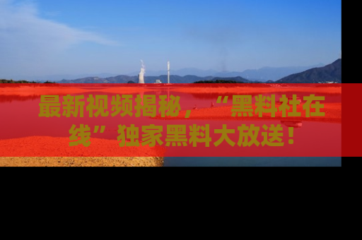 最新视频揭秘,“黑料社在线”独家黑料大放送!